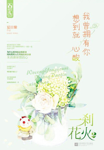 一剎花火2