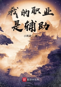 我的職業(yè)是輔助