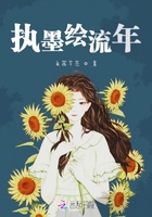 執墨繪流年在線閱讀
