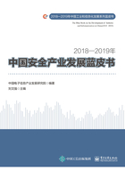 2018—2019年中国安全产业发展蓝皮书在线阅读