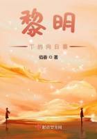 黎明下的向日葵在線閱讀