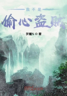 我不是偷心盜賊