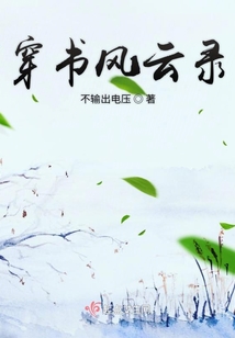 穿書風云錄