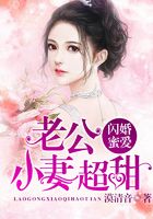 闪婚蜜爱:老公,小妻超甜在线阅读