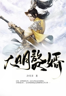 大明赘婿