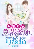 双生萌宝:总裁爹地请接招