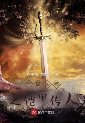全职法师之铠甲传人在线阅读