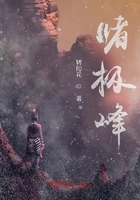 睹極峰在線閱讀