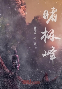 睹極峰
