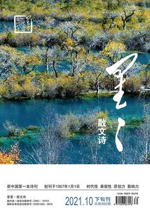 星星·散文詩（2021年第10期）