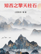 知否之擎天柱石在線閱讀
