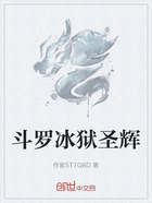 斗罗冰狱圣辉在线阅读