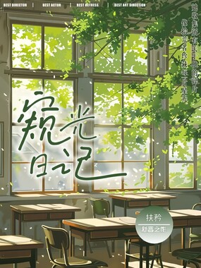 窥光日记在线阅读