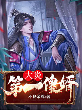 大炎第一傻婿在线阅读