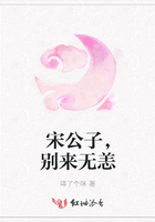 宋公子，別來無恙在線閱讀