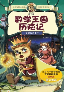 數學王國歷險記·榮耀石的重生