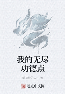 我的無盡功德點