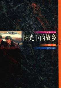阳光下的故乡