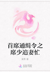 首席通緝令之席少追妻忙