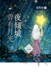 曾有月光夜傾城