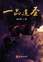 一品道圣在线阅读