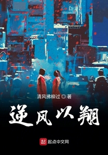 逆風以翔