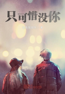 只可惜沒你