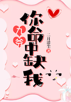 九爷,你命中缺我在线阅读