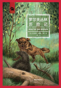 羅爾夫叢林歷險記