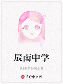 辰南中學