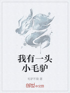 我有一头小毛驴在线阅读