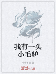 我有一頭小毛驢