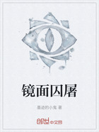 镜面囚屠在线阅读