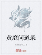 黄庭问道录在线阅读