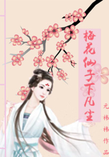 仙女下凡尘之梅花仙子