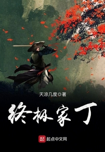 終極家丁