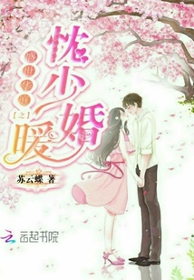 盛世華庭之忱少暖婚