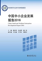 中国中小企业发展报告2016在线阅读