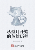 从型月开始的英雄历程在线阅读