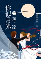 你似月光太薄凉在线阅读