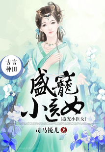 盛寵小醫女