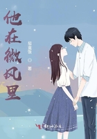 他在微风里在线阅读