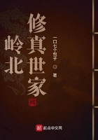岭北修真世家在线阅读