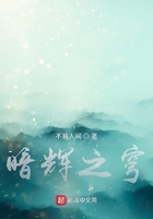 暗輝之穹在線閱讀