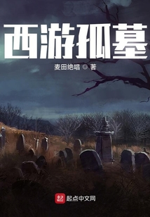 西游孤墓