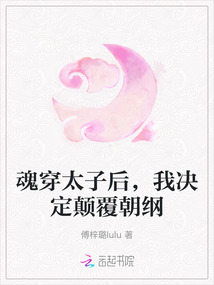 魂穿太子后，我決定顛覆朝綱