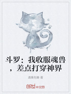 斗罗:我收服魂兽,差点打穿神界在线阅读