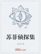 苏菲侦探集在线阅读