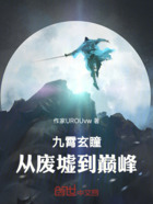 九霄玄瞳:从废墟到巅峰在线阅读