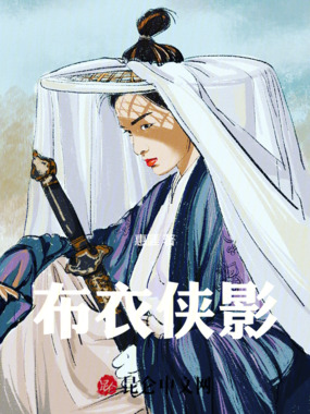 布衣侠影在线阅读